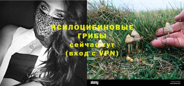 экстази Сатка