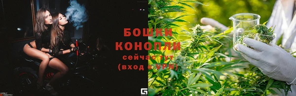 тгк Саяногорск